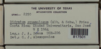 Image Associated With the Occurence
